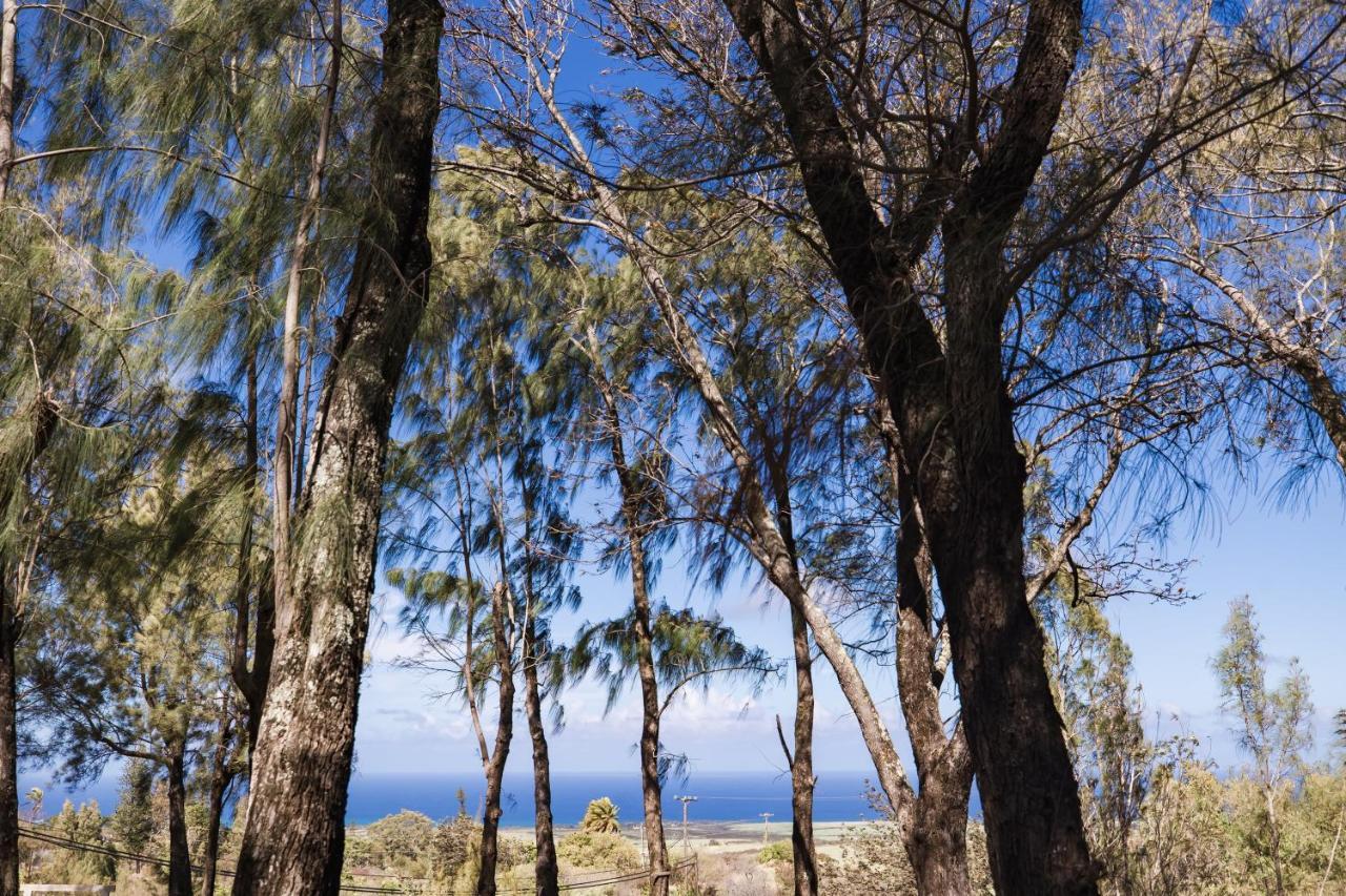 Lumeria Maui, Educational Retreat Center Makawao Exteriör bild